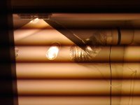 03102010206.jpg