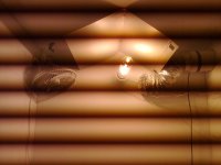 04102010209.jpg