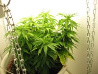 IMG_0317.jpg