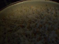 100_0543.jpg