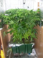DSCN5127.JPG
