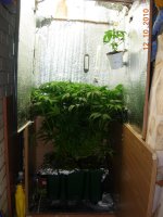 DSCN5130.JPG