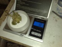 20092009307.jpg