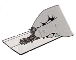8ba4d34605f7.gif