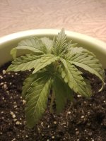 12102010272.jpg