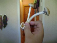 shroom.jpg