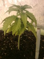 17102010304.jpg