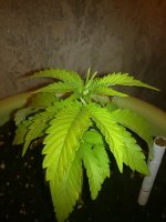 17102010305.jpg