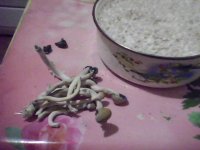 IMG0056A.jpg