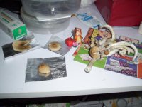 100_0620.jpg