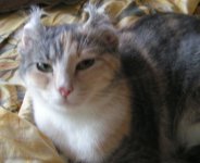 PICT0028.JPG