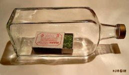 438eab0aa677.jpg