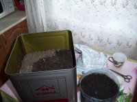 100_0670.jpg
