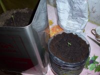 100_0671.jpg