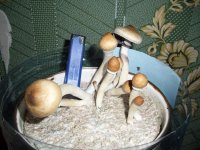 100_0684.jpg