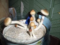 100_0685.jpg