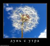 x_d096f7d3.jpg