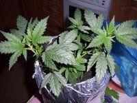 100_0717.jpg