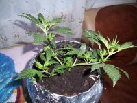 100_0718.jpg