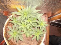 DSCF2349.jpg