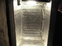 IMG_62111.jpg