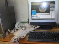 Ксю.jpg
