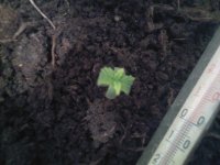 Photo-0144.jpg