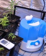 CSC_1692 - copia.JPG