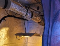 CSC_1910 - copia (3).JPG