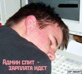 432496bd306e9b81.jpg