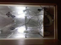 110104-1513(001).jpg