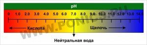 phscale-300x92.jpg