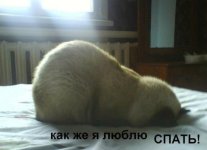 cO_9Bu4J5XQ.jpg
