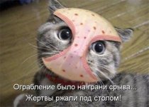 огр.jpg