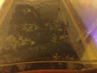 IMG_0910.jpeg