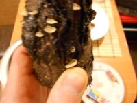 DSCN1473.JPG