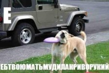попал.jpg