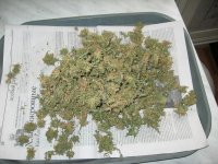 IMG_0233.JPG