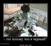 Безымянный.jpg