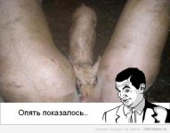 Безымянный.jpg