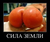 Безымянный.jpg