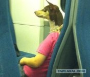 Безымянный1.jpg