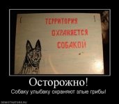 77137_ostorozhno.jpg