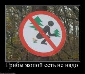 850894_gribyi-zhopoj-est-ne-nado.jpg