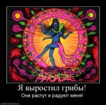 251986_ya-vyirostil-gribyi.jpg