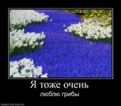 322081_ya-tozhe-ochen.jpg