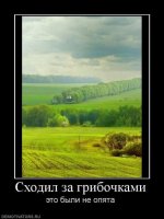 484124_shodil-za-gribochkami.jpg