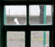 IMG_1157_новый размер.JPG