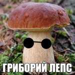 Bix09KNDN90.jpg