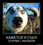 cff4c635419c.jpg
